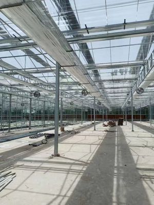 Estufas de vidro rectangulares modernas com durabilidade e proteção UV