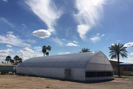 Alumínio zinco revestimento de plástico filme estufa UV protegido transmissão de luz antienvelhecimento anti gotejamento