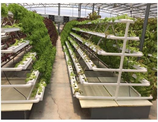 Sistema hidropónico LED com rega automática